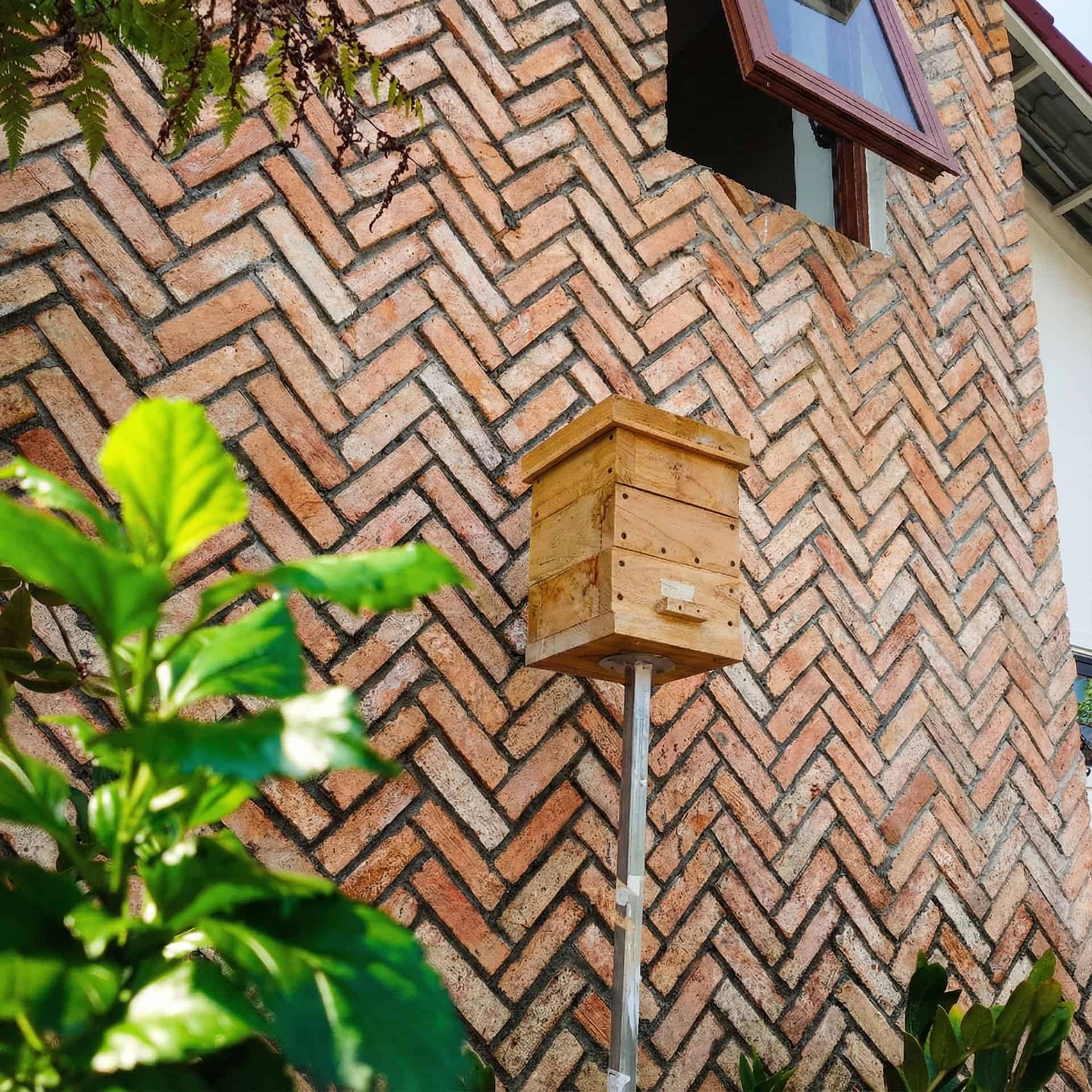 thung ong giong ong du nha toi