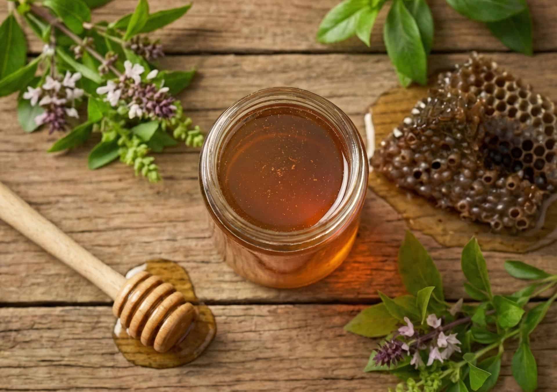 Ong Dú Nhà Tôi 14 mat ong du chup goc tren crop2