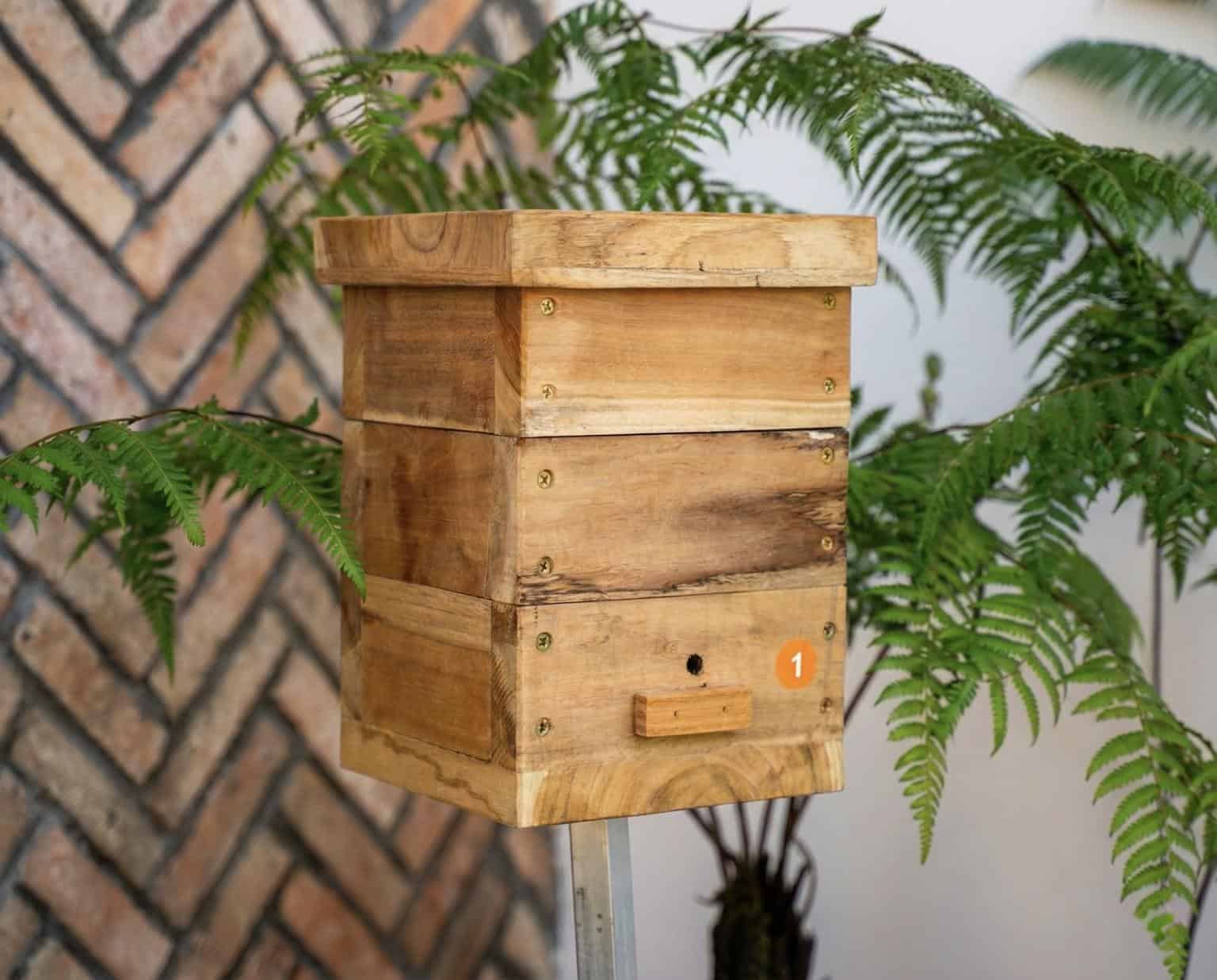 Đàn ong dú bay về tổ được đặt trong vườn nhà bởi Ong Dú Nhà Tôi