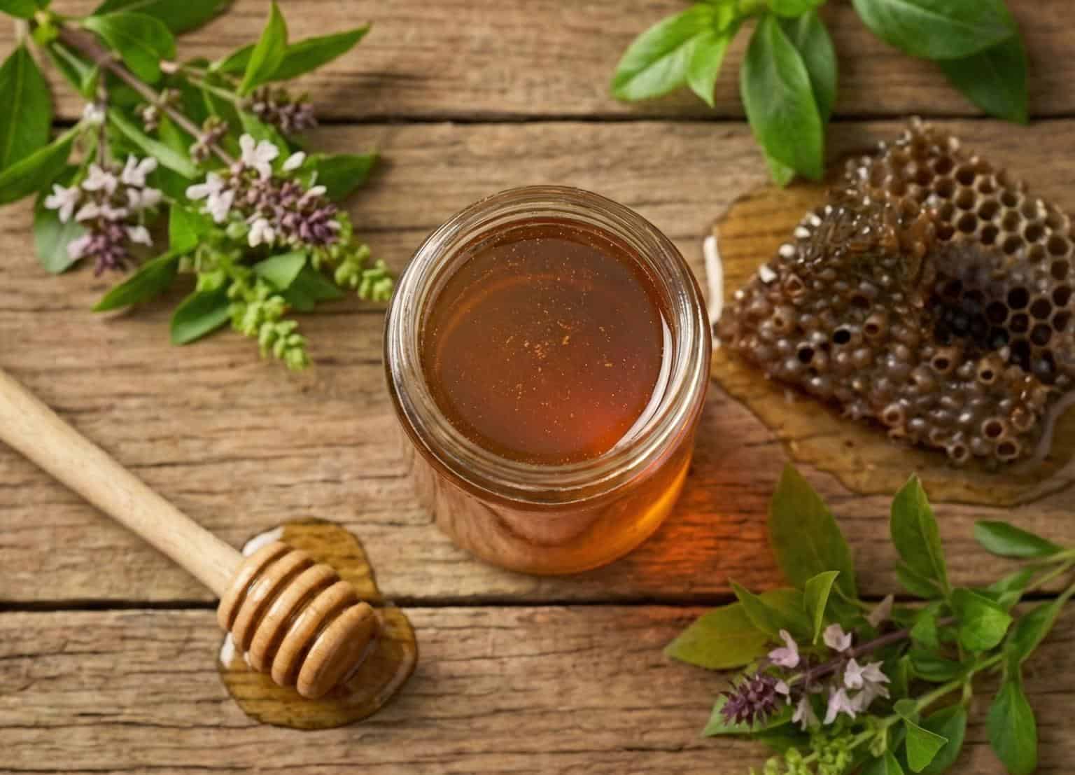 Túi mật ong dú trong tổ