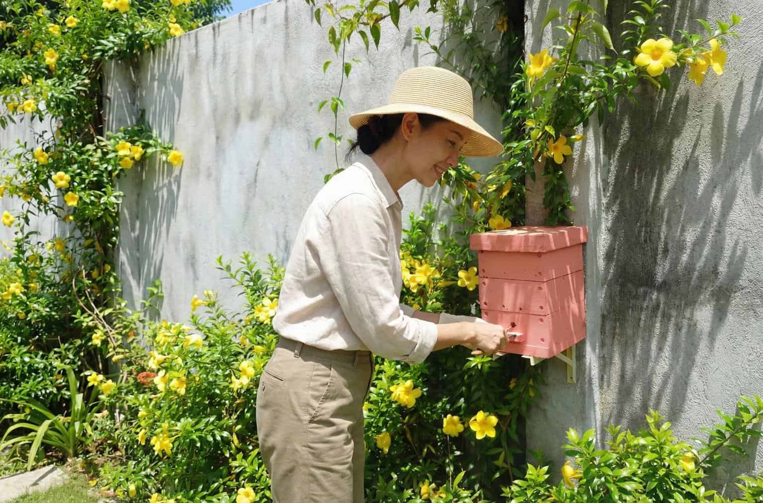 Mật ong dú nguyên chất có màu hổ phách