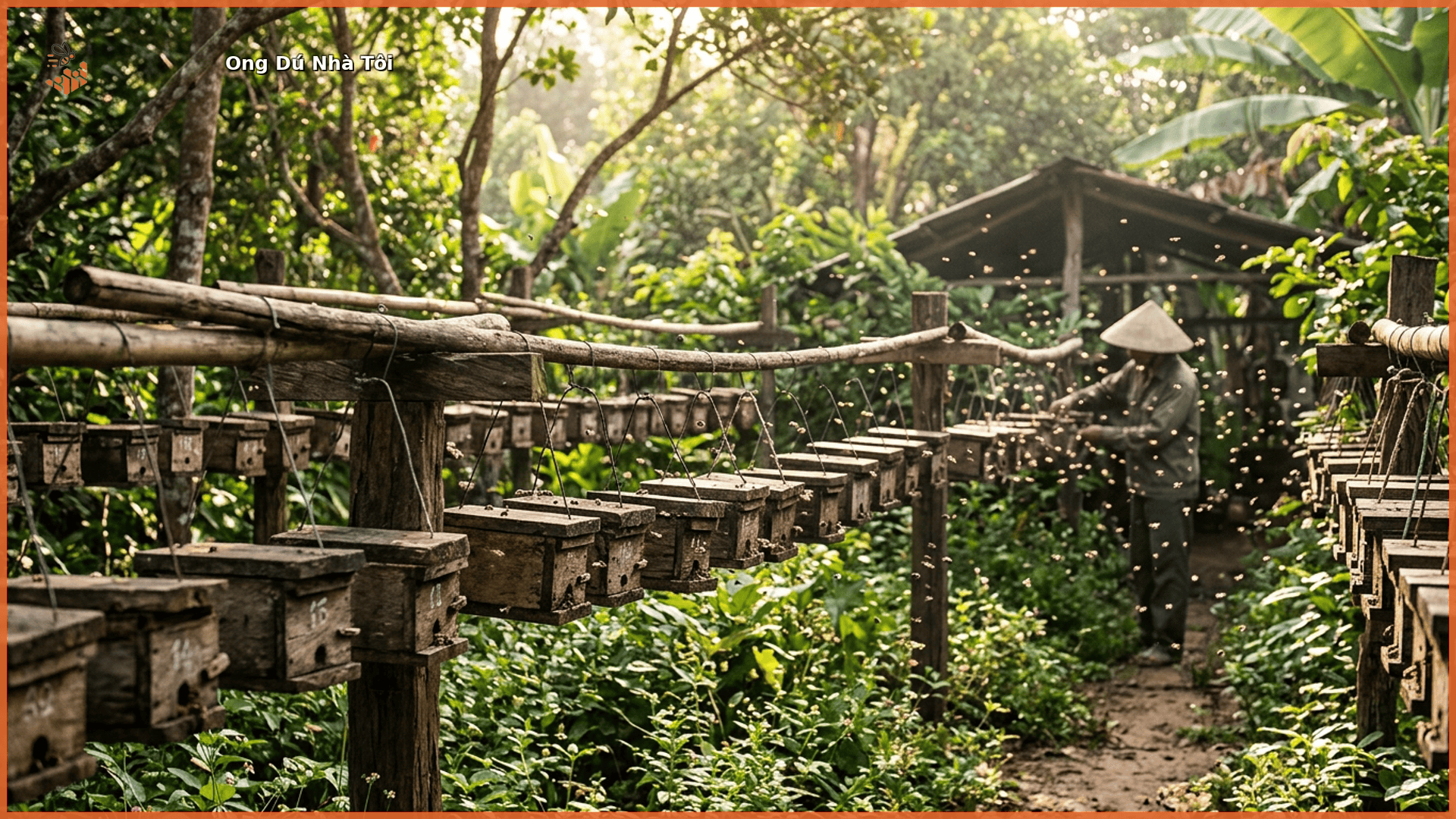 Cách Bảo Quản Mật Ong Dú Đúng Cách Giữ Trọn Hương Vị 2 Tổ ong dú tại farm Ong Dú Nhà Tôi Đồng Nai