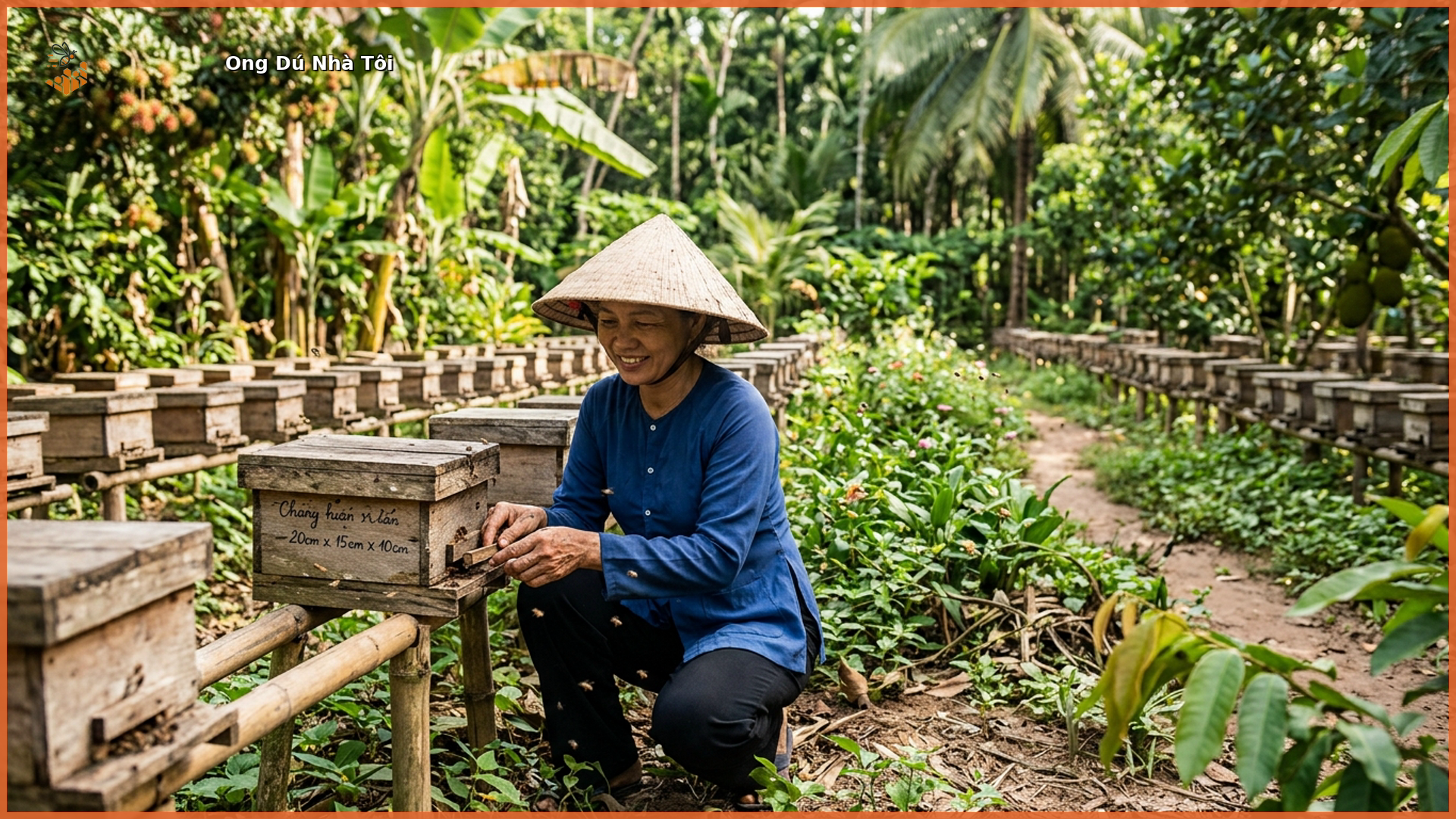 Trại nuôi ong dú tại Đồng Nai – Ong Dú Nhà Tôi