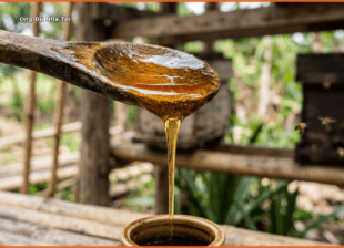 Mật ong dú nguyên chất chảy từ muỗng gỗ - Ong Dú Nhà Tôi Đồng Nai
