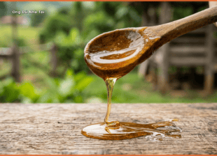 Mật ong dú nguyên chất nhỏ giọt từ muỗng gỗ – Ong Dú Nhà Tôi Đồng Nai