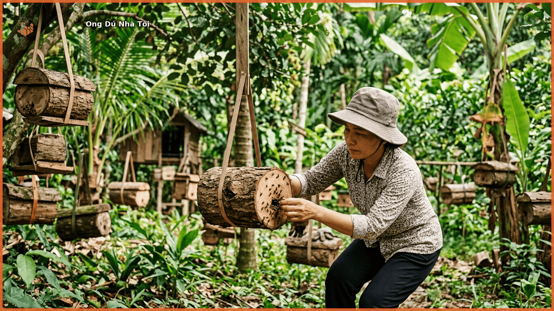 Trại nuôi ong dú tại Đồng Nai - Ong Dú Nhà Tôi