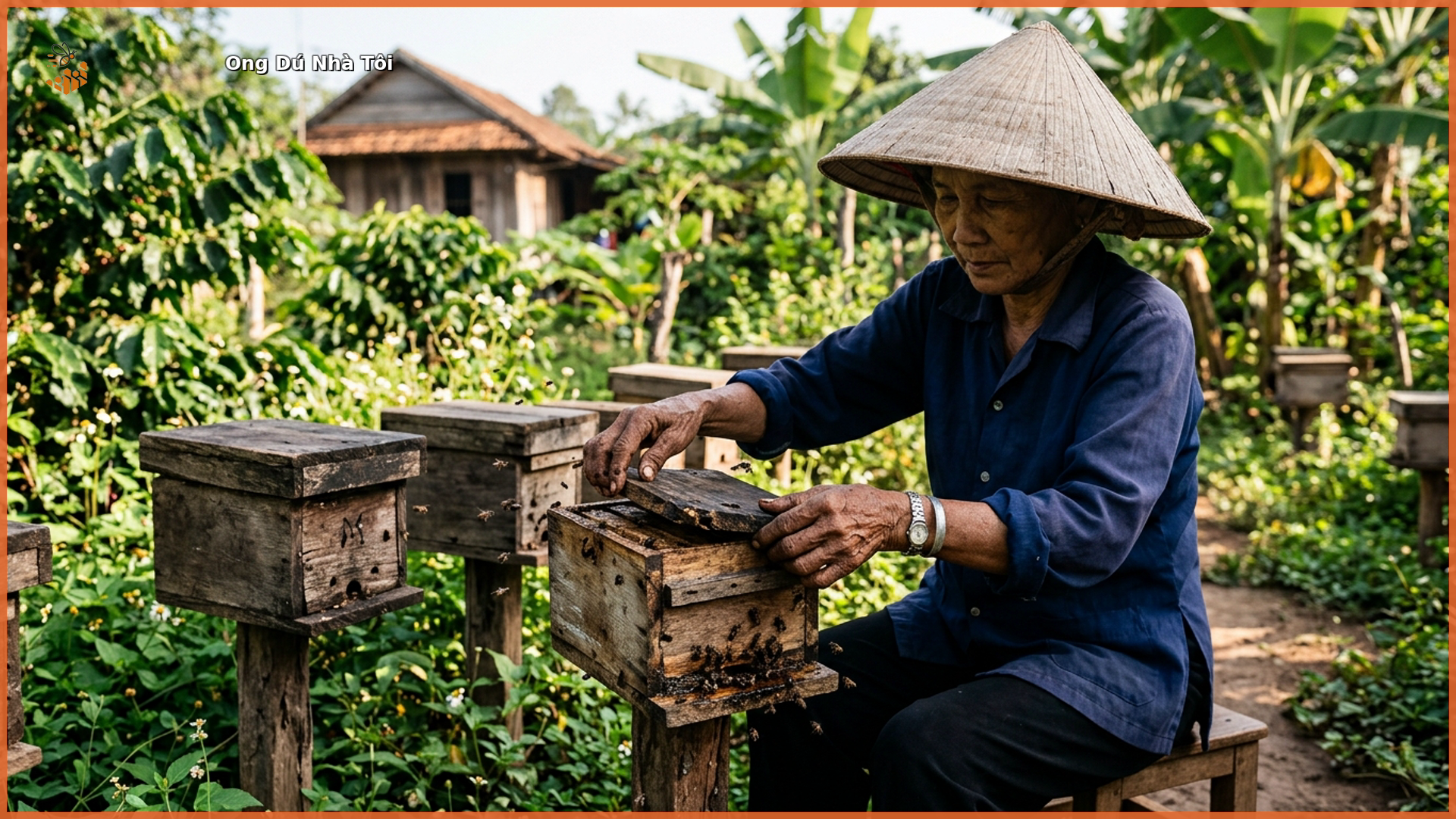 Người nuôi ong dú chăm tổ tại farm Đồng Nai