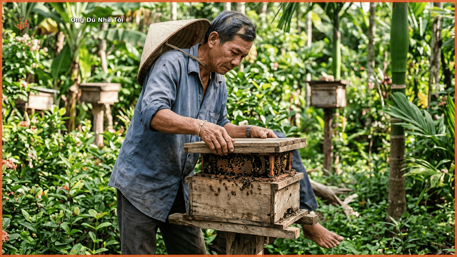 Người nuôi ong dú tại farm Đồng Nai kiểm tra tổ ong