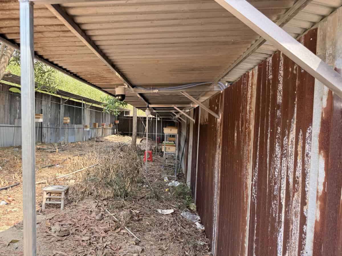Farm ong dú Đồng Nai — hộp nuôi ong dú trên cọc, trại ong dú Ong Dú Nhà Tôi