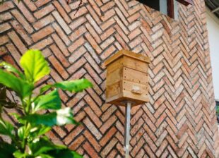 Hộp nuôi ong dú gỗ nhỏ trên cọc sắt tại farm Ong Dú Nhà Tôi Đồng Nai