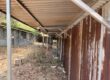 Mật ong dú và mật ong rừng khác nhau ở đâu? 19 ong du thung farm dong nai