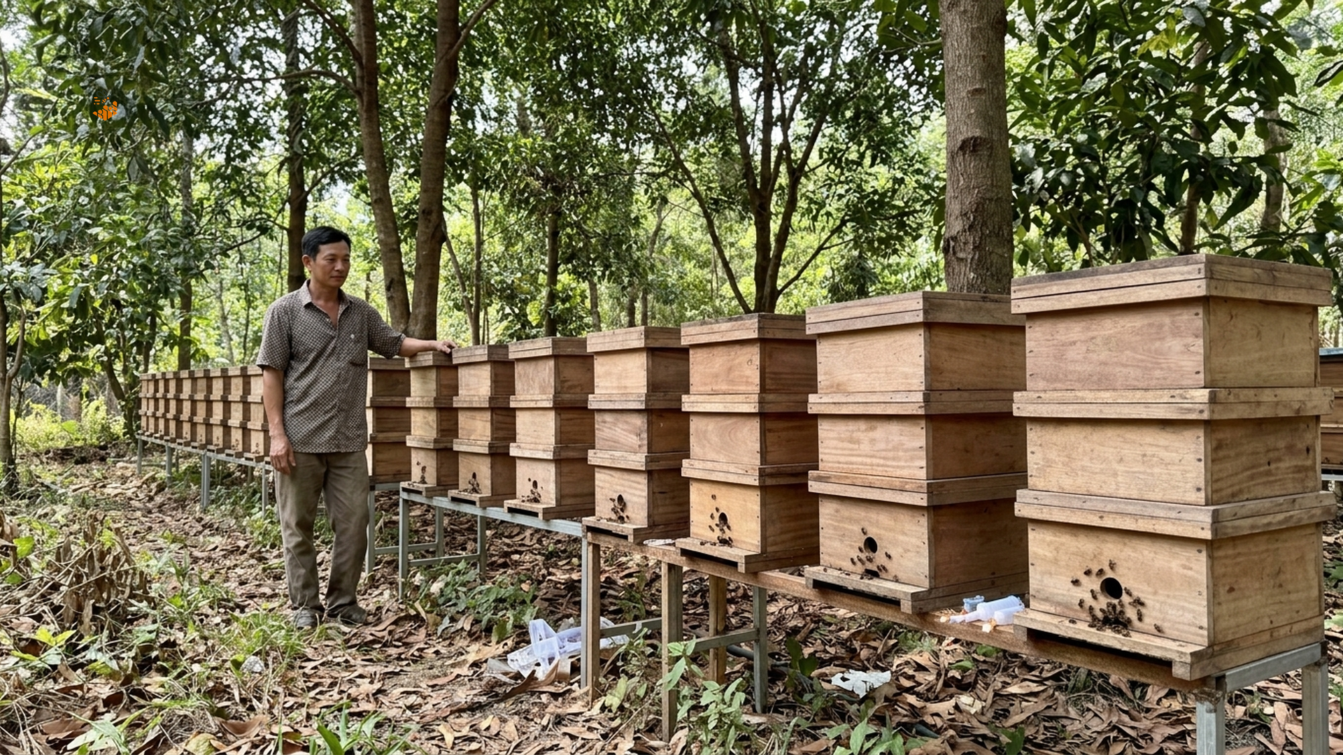 Cách bảo quản mật ong dú đúng cách giữ trọn dưỡng chất 2 Thùng ong dú 3 tầng tại farm Ong Dú Nhà Tôi Đồng Nai