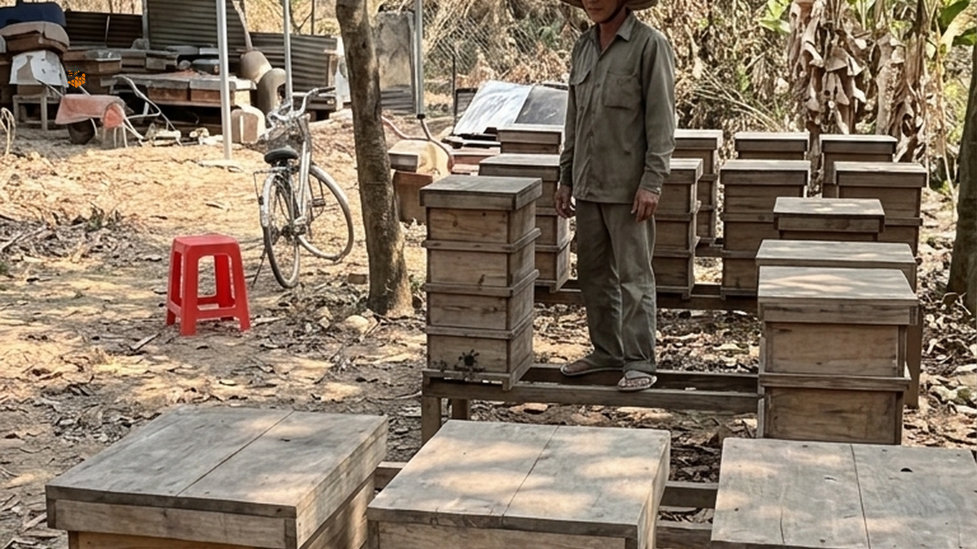 Mật ong dú và giấc ngủ: uống buổi tối có ngủ ngon hơn? 2 Trại ong dú Đồng Nai — nguồn mật ong dú nguyên chất Ong Dú Nhà Tôi