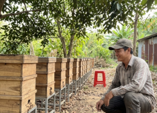 Người nuôi ong dú tại farm Ong Dú Nhà Tôi Đồng Nai buổi sáng sớm