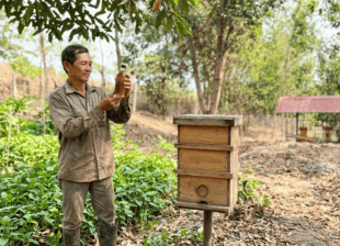 Người nuôi ong dú tại farm Đồng Nai cầm chai mật ong dú soi ánh sáng tự nhiên