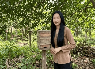 Chồng thùng kế ong dú nhỏ dưới tán cây tại trại Đồng Nai