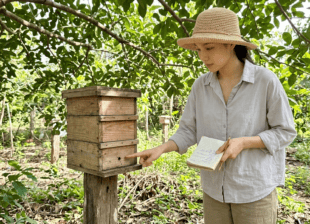Miko kiểm tra cửa tổ ong dú trước khi hướng dẫn checklist mua giống tại trại Đồng Nai